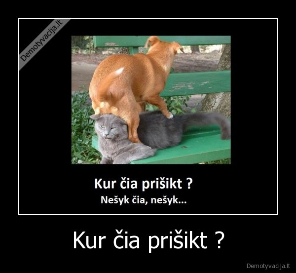 Kur čia prišikt ? - 