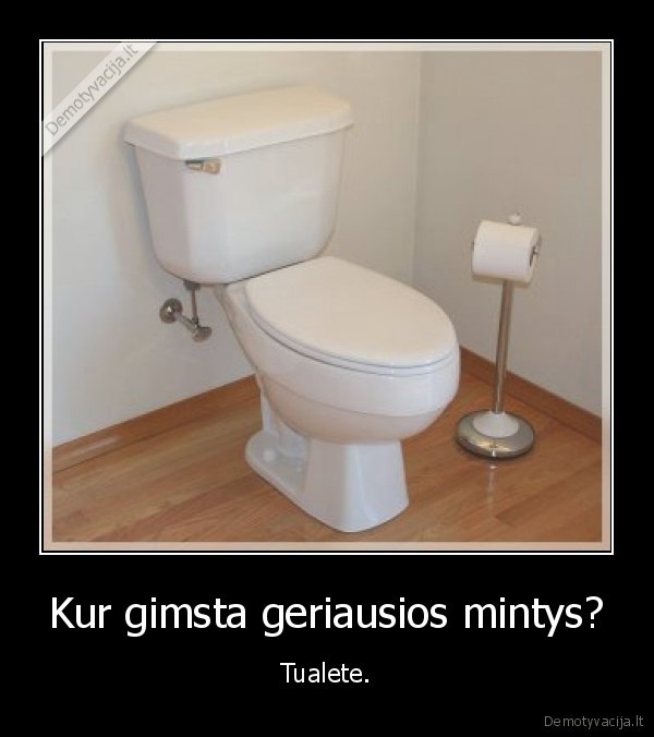 Kur gimsta geriausios mintys? - Tualete.