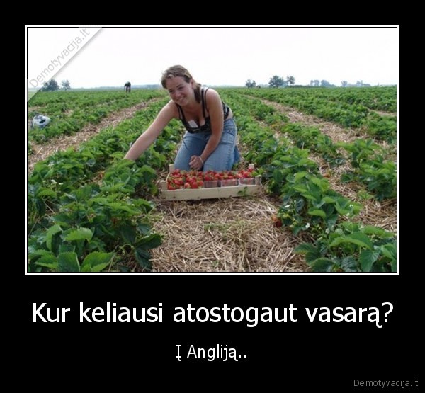 Kur keliausi atostogaut vasarą? - Į Angliją..