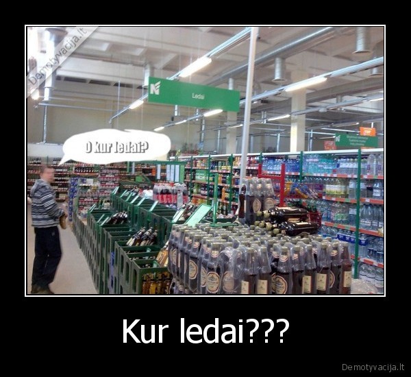 Kur ledai??? - 