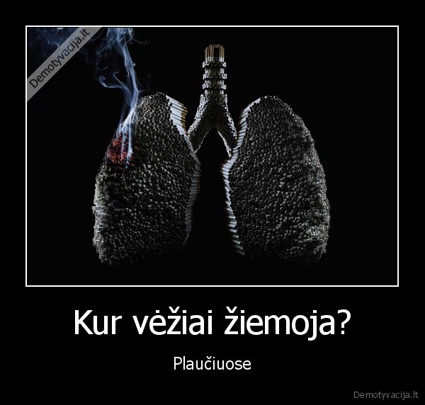 Kur vėžiai žiemoja? - Plaučiuose