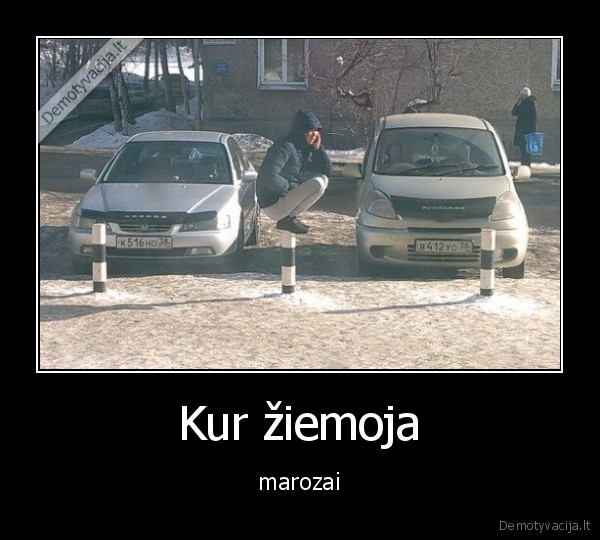 Kur žiemoja - marozai