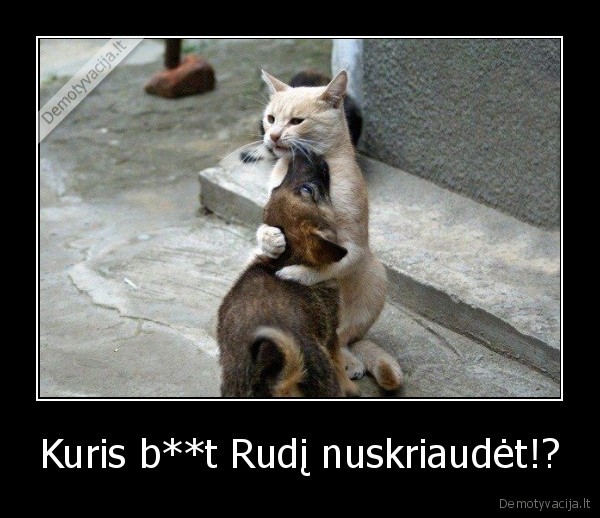 Kuris b**t Rudį nuskriaudėt!? - 