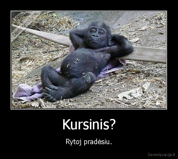 Kursinis? - Rytoj pradėsiu.