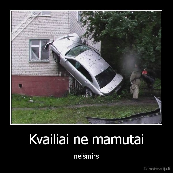 Kvailiai ne mamutai - neišmirs