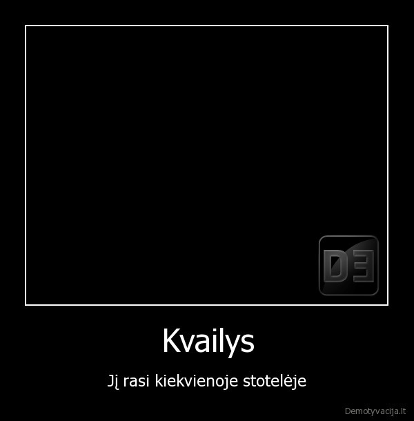 Kvailys - Jį rasi kiekvienoje stotelėje