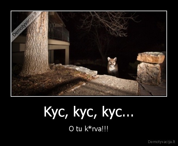 Kyc, kyc, kyc... - O tu k*rva!!!