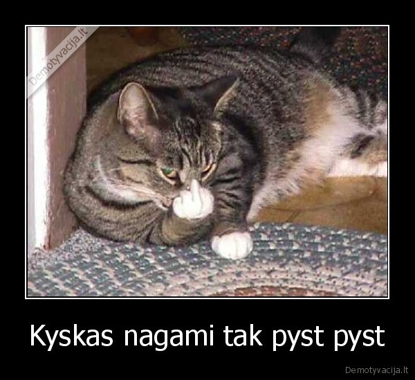 Kyskas nagami tak pyst pyst - 