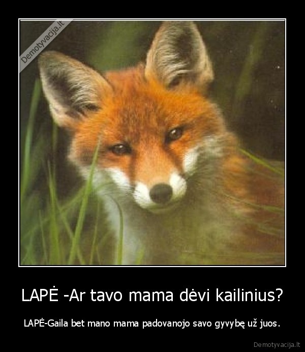 LAPĖ -Ar tavo mama dėvi kailinius? - LAPĖ-Gaila bet mano mama padovanojo savo gyvybę už juos.