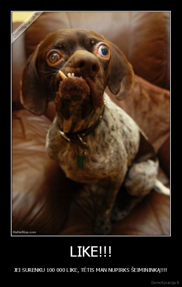 LIKE!!! - JEI SURENKU 100 000 LIKE, TĖTIS MAN NUPIRKS ŠEIMININKĄ!!!!