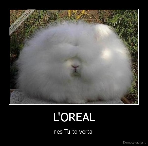 L'OREAL - nes Tu to verta 