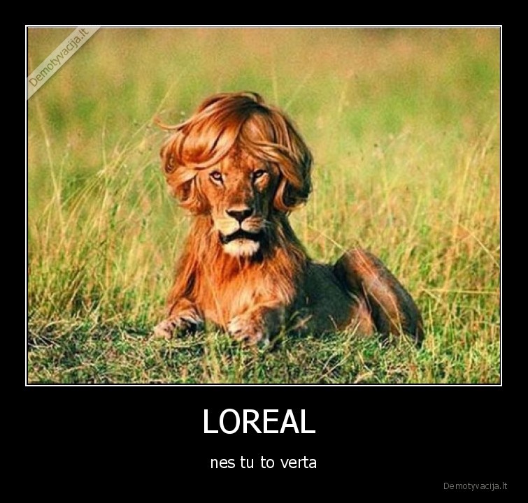 LOREAL  - nes tu to verta