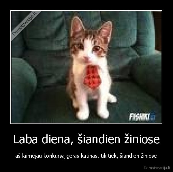 Laba diena, šiandien žiniose - aš laimėjau konkursą geras katinas, tik tiek, šiandien žiniose