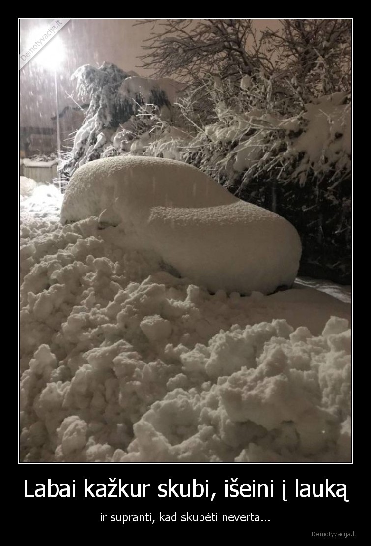 Labai kažkur skubi, išeini į lauką - ir supranti, kad skubėti neverta...