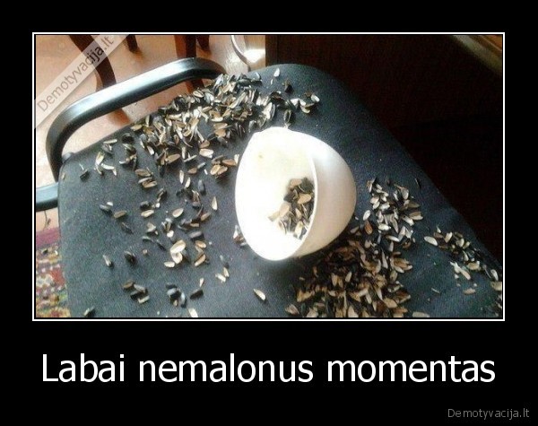 Labai nemalonus momentas - 