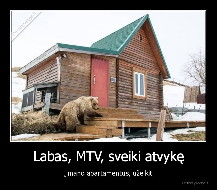 Labas, MTV, sveiki atvykę - į mano apartamentus, užeikit