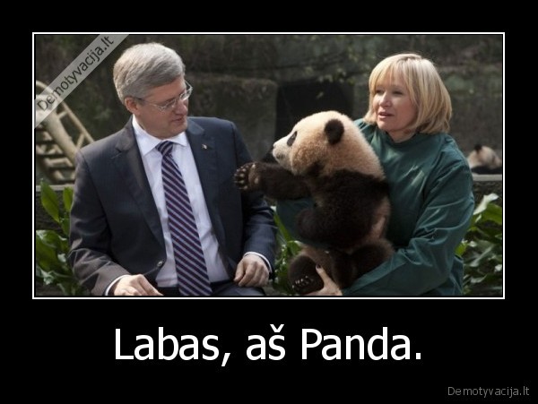 Labas, aš Panda. - 