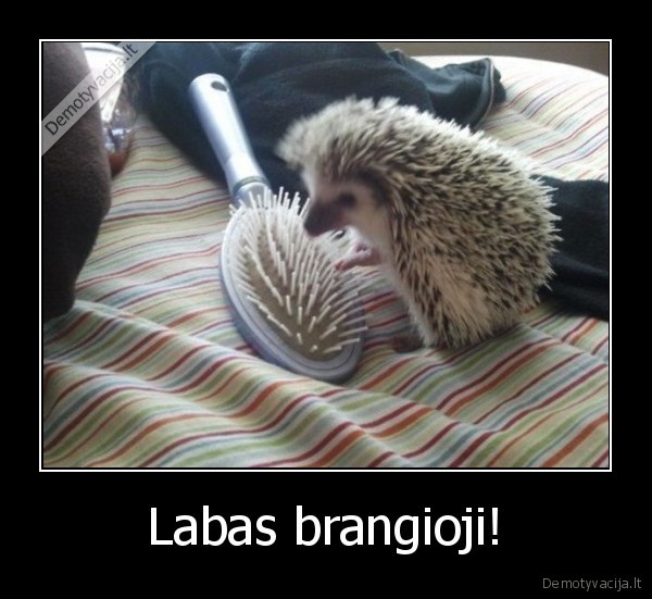 Labas brangioji! - 