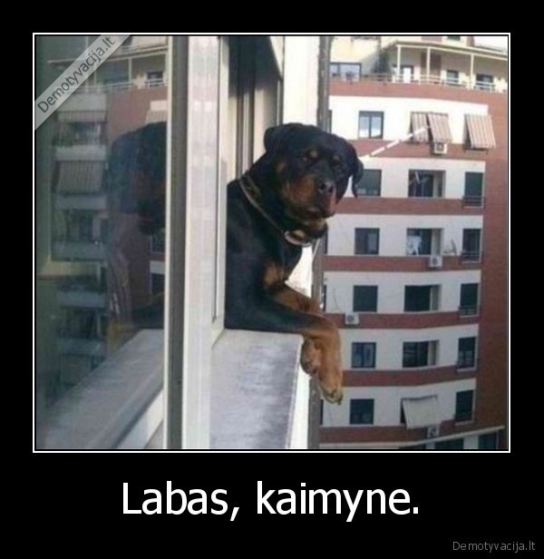 Labas, kaimyne. - 