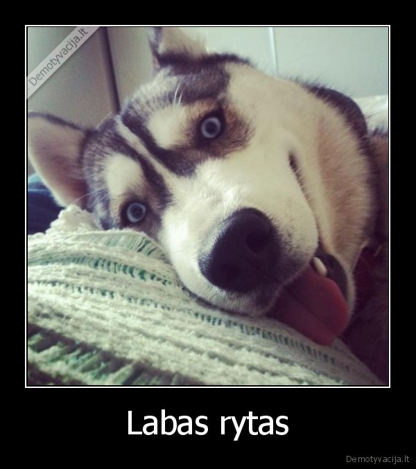 Labas rytas - 