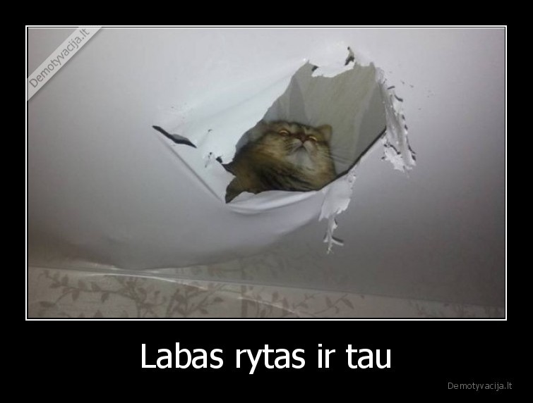 Labas rytas ir tau - 