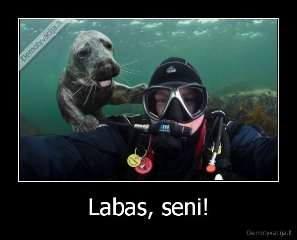 Labas, seni! - 