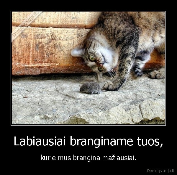 Labiausiai branginame tuos, - kurie mus brangina mažiausiai.