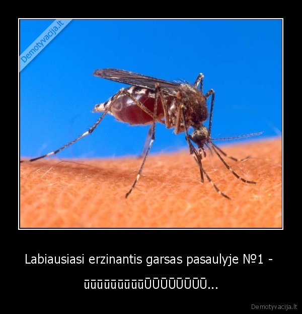 Labiausiasi erzinantis garsas pasaulyje №1 -  - ūūūūūūūūūŪŪŪŪŪŪŪŪ...