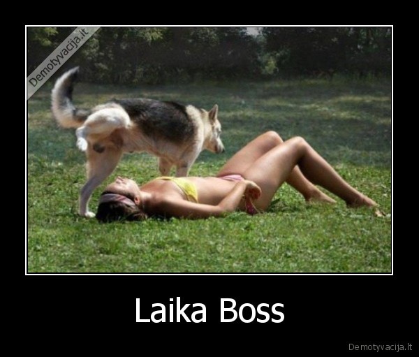 Laika Boss - 