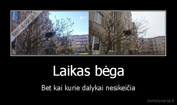 Laikas bėga - Bet kai kurie dalykai nesikeičia