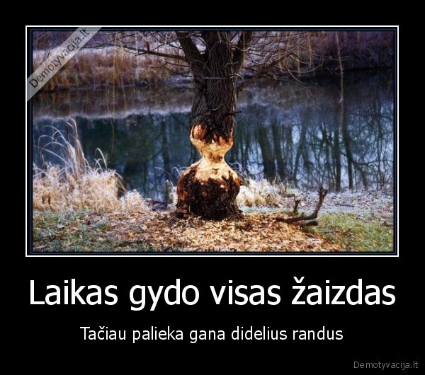 Laikas gydo visas žaizdas - Tačiau palieka gana didelius randus