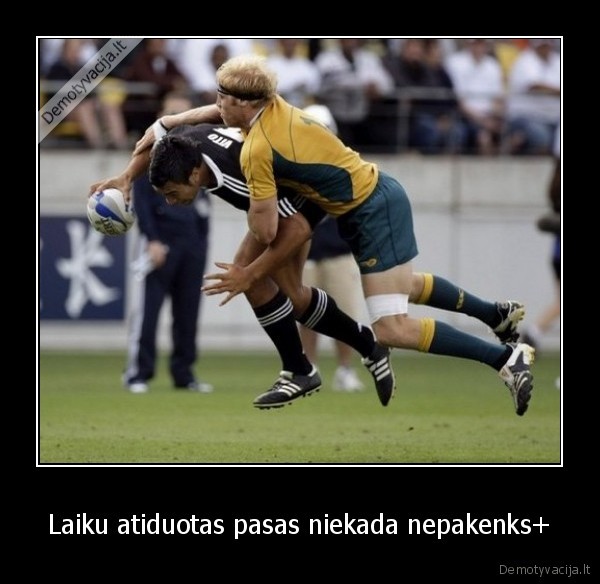 Laiku atiduotas pasas niekada nepakenks+ - 