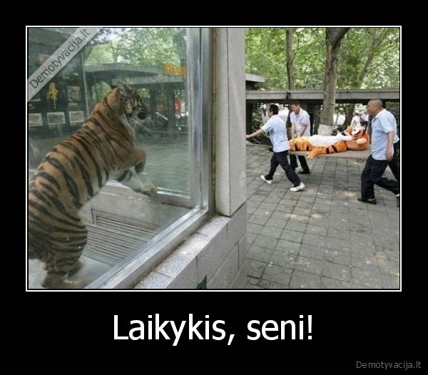 Laikykis, seni! - 