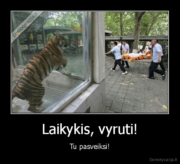 Laikykis, vyruti! - Tu pasveiksi!