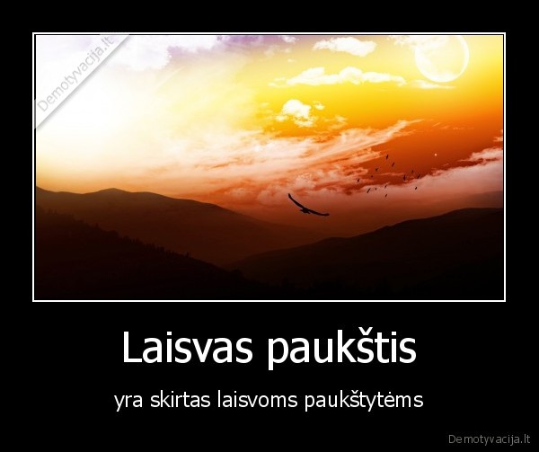 Laisvas paukštis - yra skirtas laisvoms paukštytėms