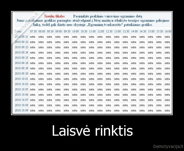 Laisvė rinktis - 