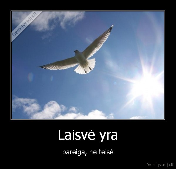 Laisvė yra - pareiga, ne teisė