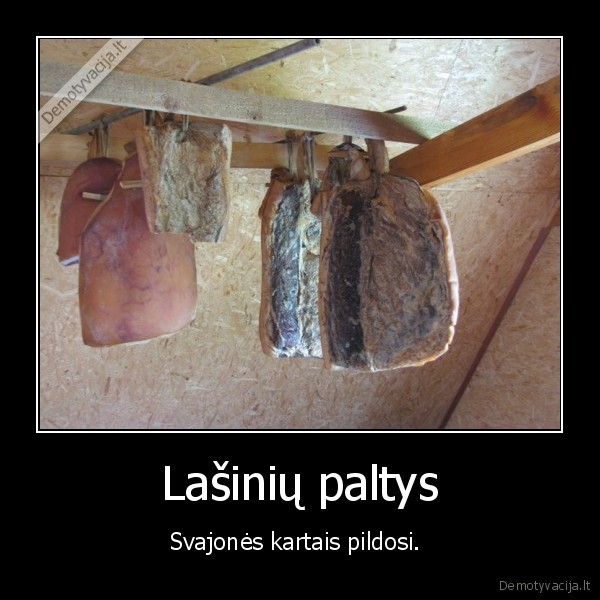 Lašinių paltys - Svajonės kartais pildosi. 