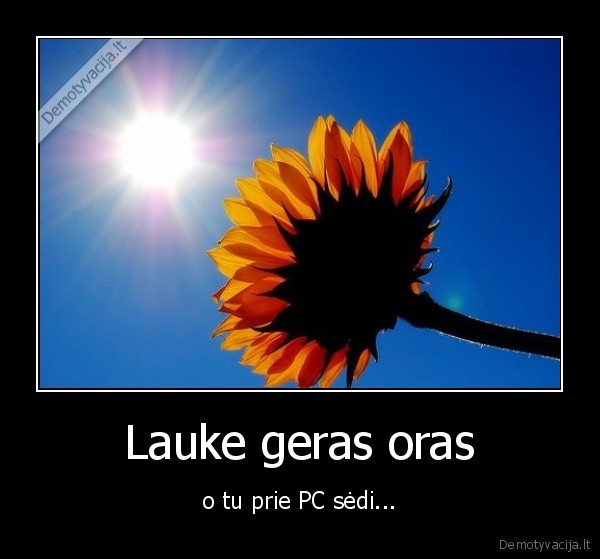 Lauke geras oras - o tu prie PC sėdi...