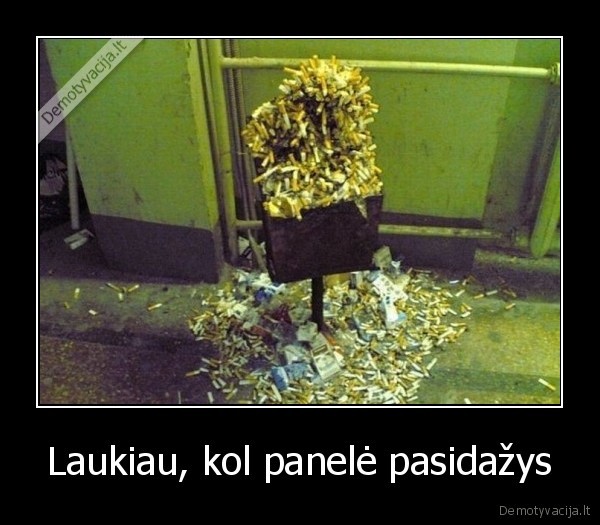 Laukiau, kol panelė pasidažys - 