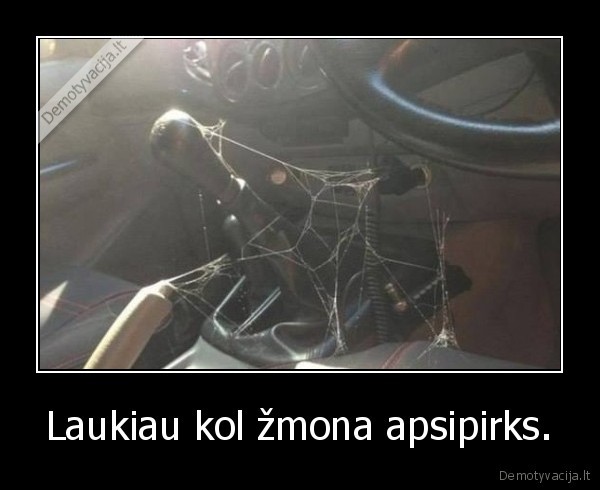 Laukiau kol žmona apsipirks. - 