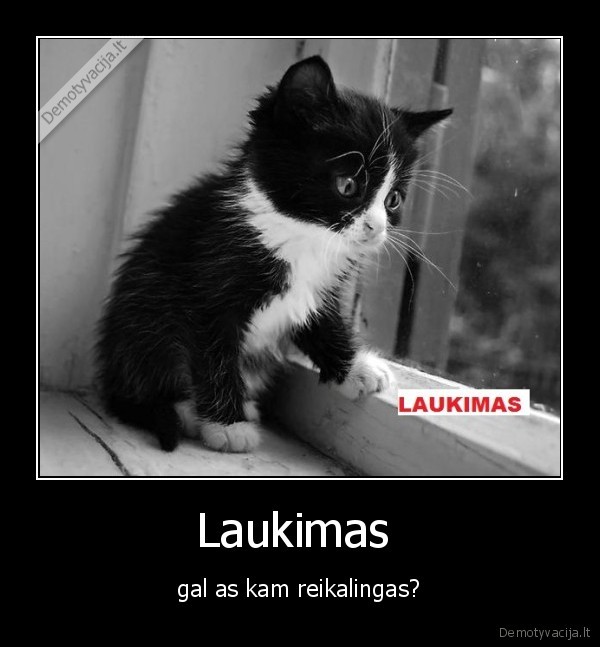 Laukimas  - gal as kam reikalingas?