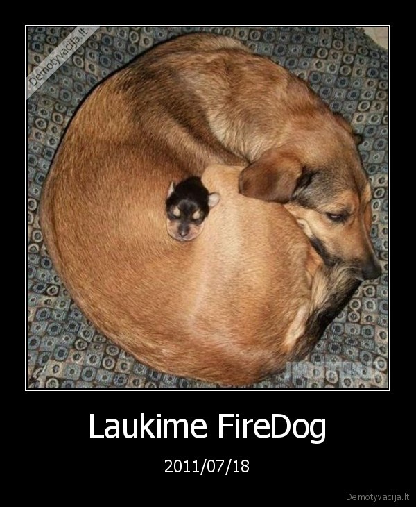 Laukime FireDog - 2011/07/18