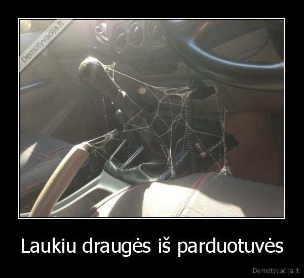 Laukiu draugės iš parduotuvės - 