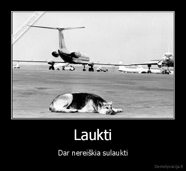 Laukti - Dar nereiškia sulaukti