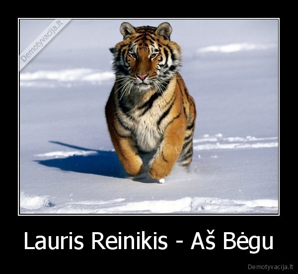 Lauris Reinikis - Aš Bėgu - 