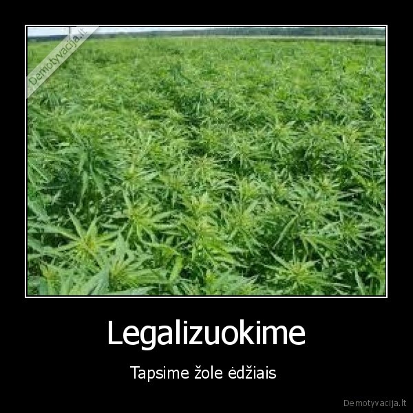 Legalizuokime - Tapsime žole ėdžiais 