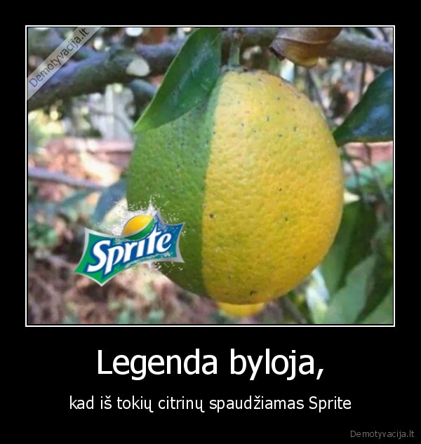 Legenda byloja, - kad iš tokių citrinų spaudžiamas Sprite