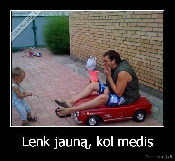 Lenk jauną, kol medis - 