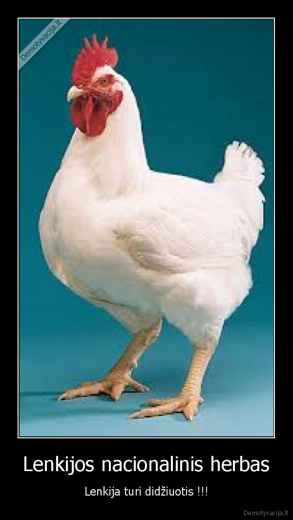 Lenkijos nacionalinis herbas - Lenkija turi didžiuotis !!!